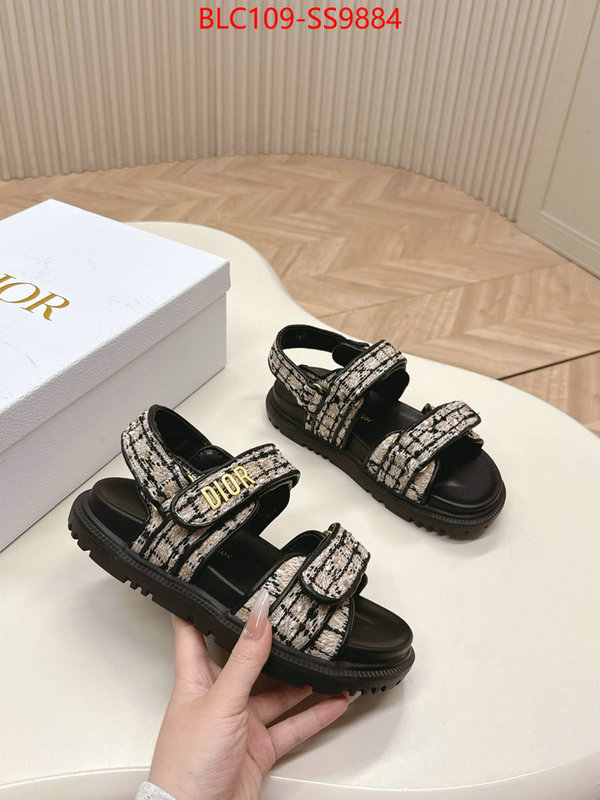 Women Shoes-Dior wholesale 2024 replica ID: SS9884 $: 109USD