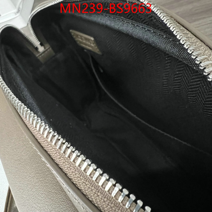 Loewe Bags(TOP)-Crossbody- luxury cheap ID: BS9663 $: 239USD,