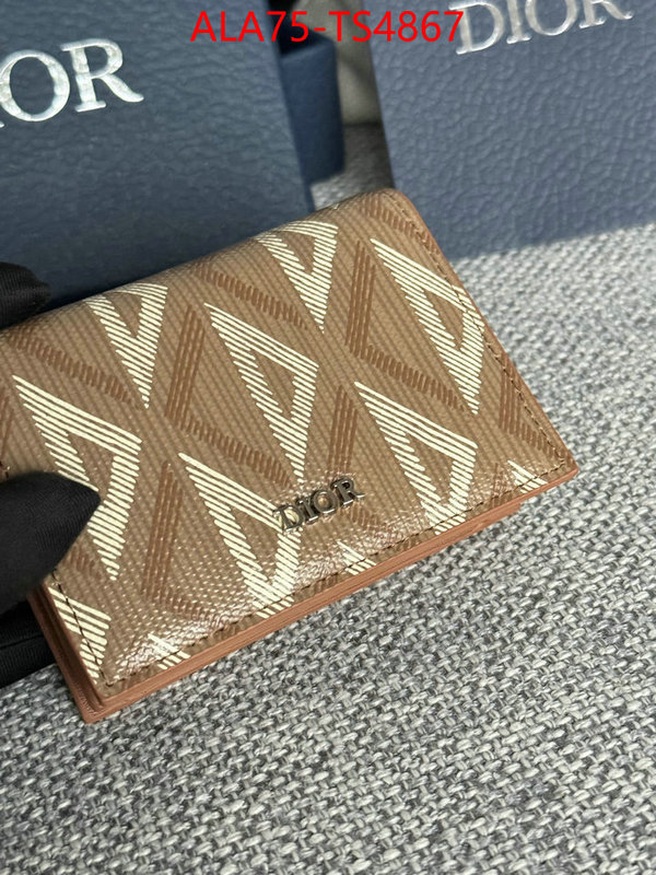 ID: TS4867 $: 75USD,