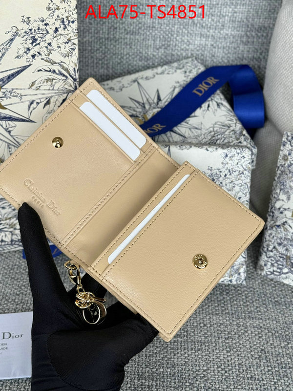 ID: TS4851 $: 75USD,