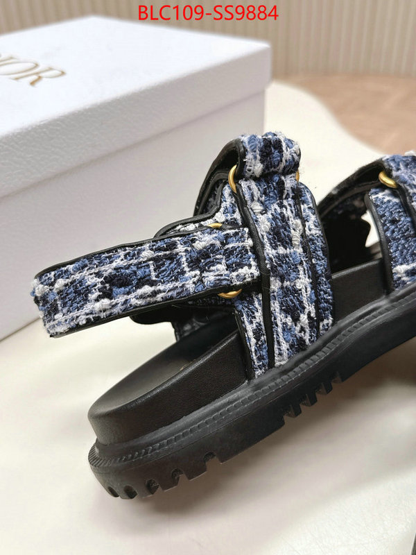 Women Shoes-Dior wholesale 2024 replica ID: SS9884 $: 109USD