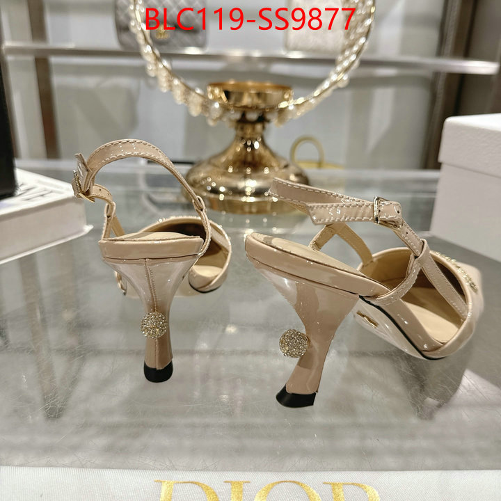 Women Shoes-Dior shop the best high authentic quality replica ID: SS9877 $: 119USD-shoes yupoo Women Shoes-Dior shop the best high authentic quality replica ID: SS9877 $: 119USD