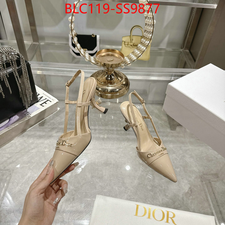 Women Shoes-Dior shop the best high authentic quality replica ID: SS9877 $: 119USD-shoes yupoo Women Shoes-Dior shop the best high authentic quality replica ID: SS9877 $: 119USD