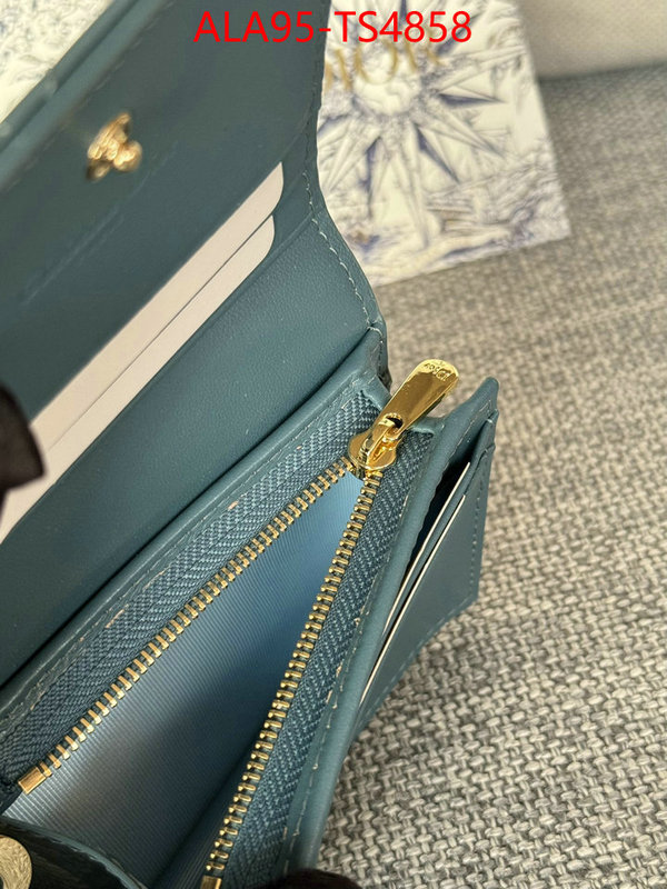 ID: TS4858 $: 95USD,