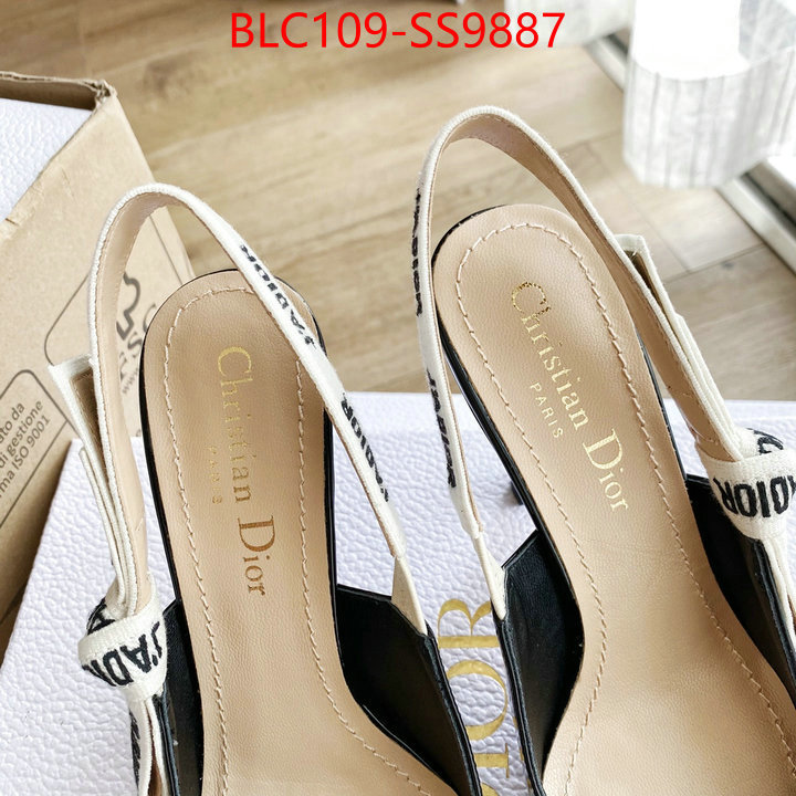 Women Shoes-Dior replica ID: SS9887 $: 109USD