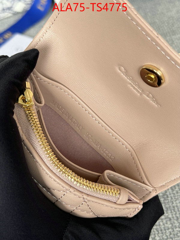ID: TS4775 $: 75USD,