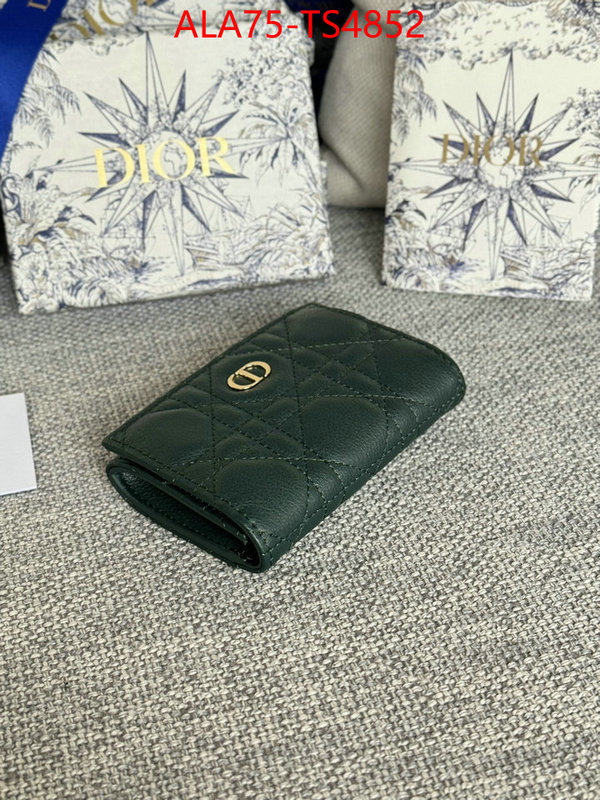 ID: TS4852 $: 75USD,