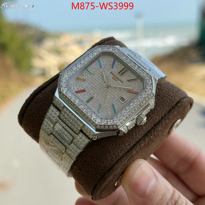 ID: WS3999