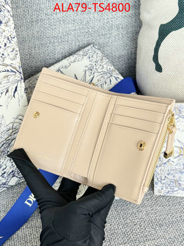 ID: TS4800 $: 79USD,