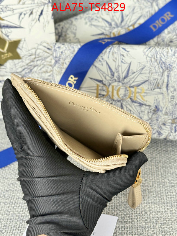 ID: TS4829 $: 75USD,