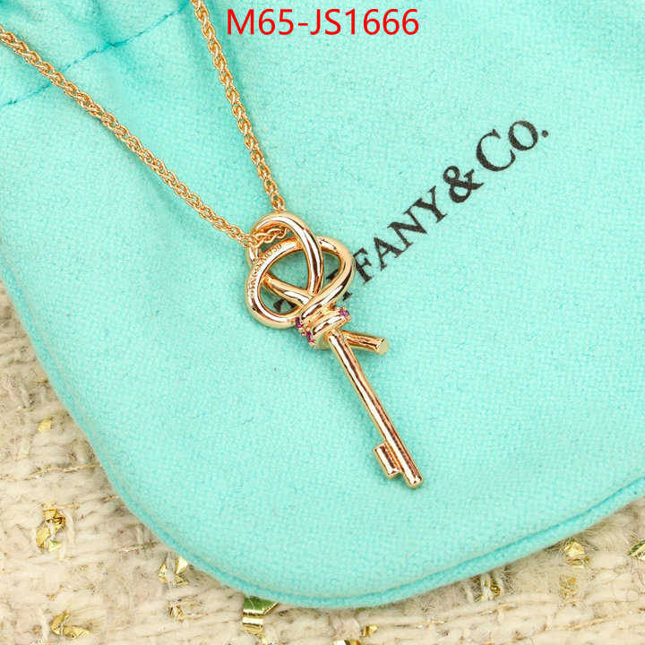 ID: JS1666