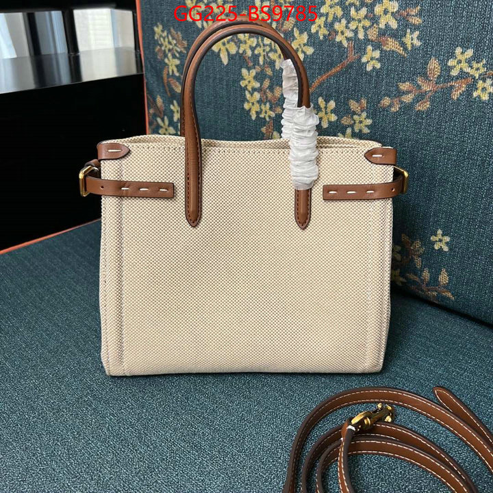 Valentino Bags(TOP)-Handbag- luxury shop ID: BS9785 $: 225USD,