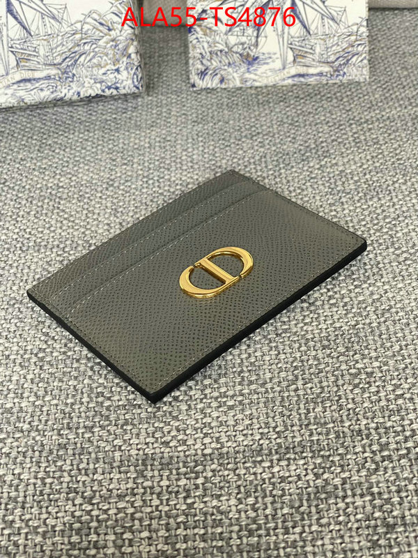 ID: TS4876 $: 55USD,