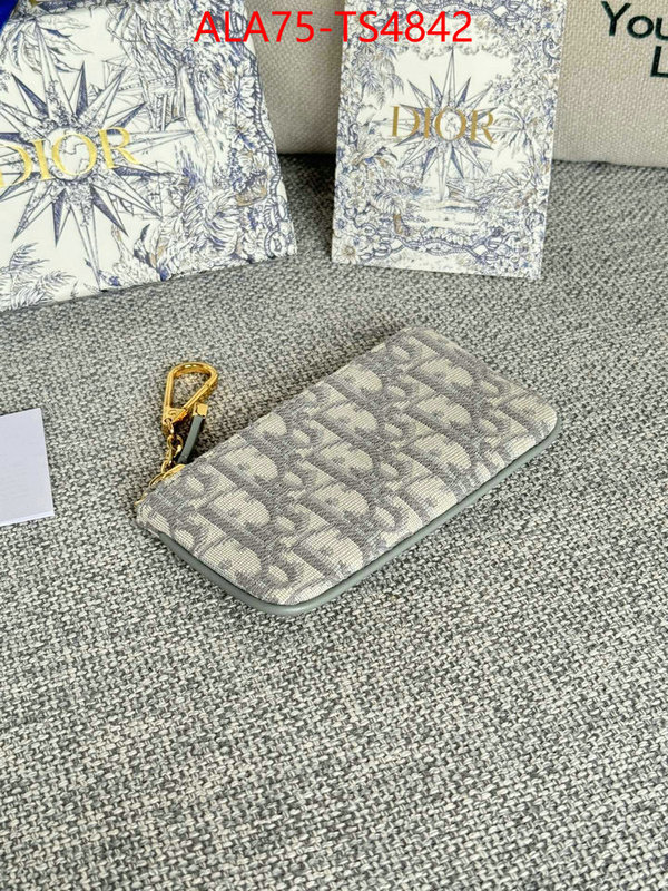 ID: TS4842 $: 75USD,
