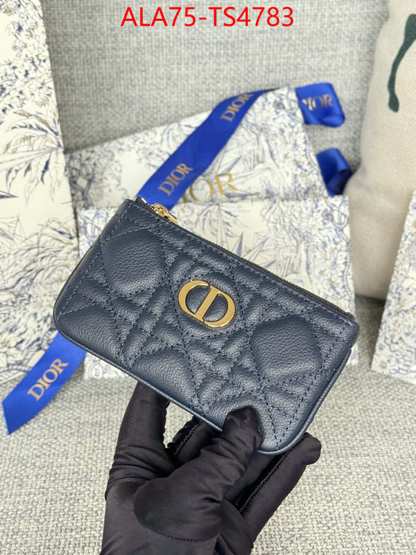 ID: TS4783 $: 75USD,