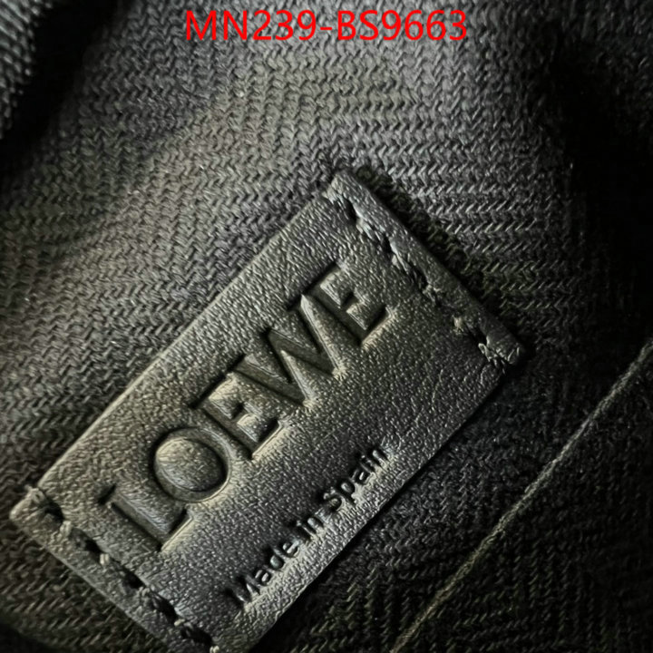 Loewe Bags(TOP)-Crossbody- luxury cheap ID: BS9663 $: 239USD,