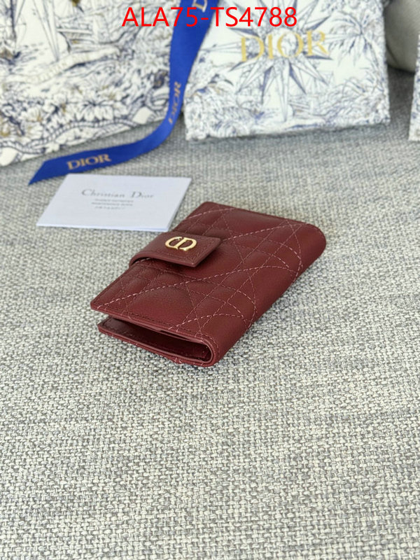 ID: TS4788 $: 75USD,