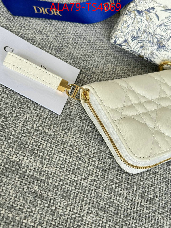 ID: TS4869 $: 79USD,