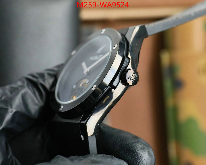 ID: WA9524