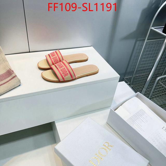 Women Shoes-Dior where to buy high quality ID: SL1191 $: 109USD