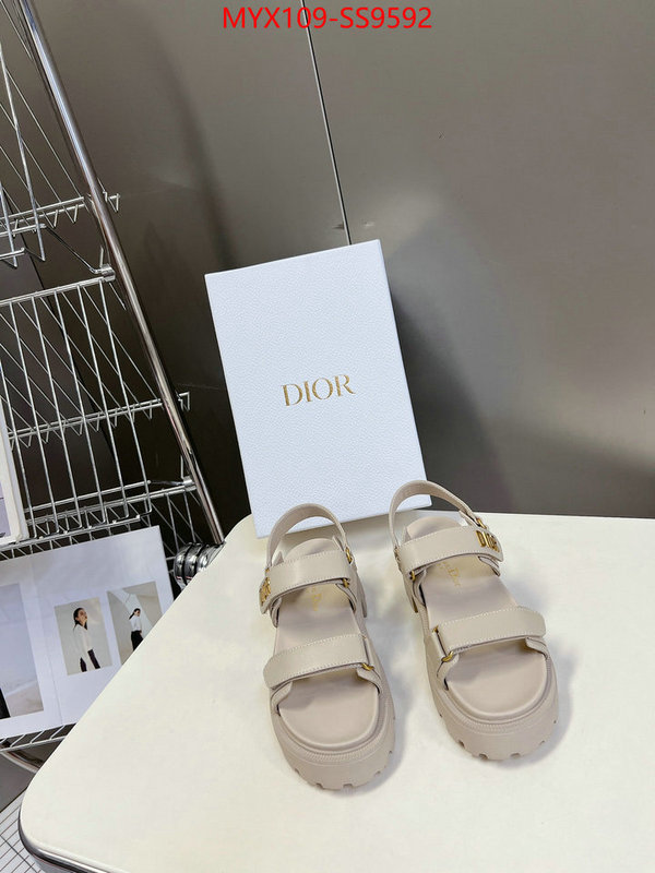 Women Shoes-Dior fashion designer ID: SS9592 $: 109USD