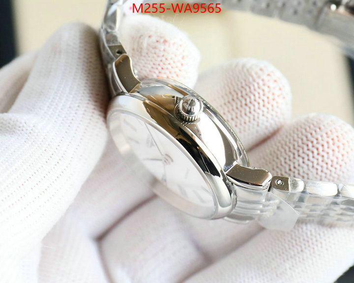 ID: WA9565