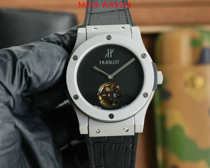 ID: WA9524