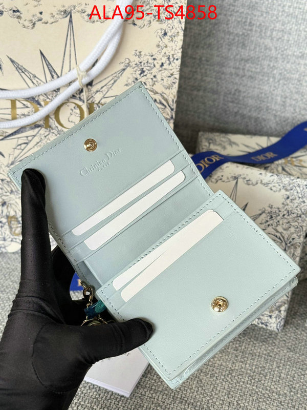ID: TS4858 $: 95USD,