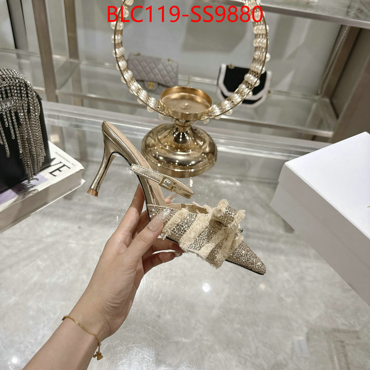 Women Shoes-Dior store ID: SS9880 $: 119USD