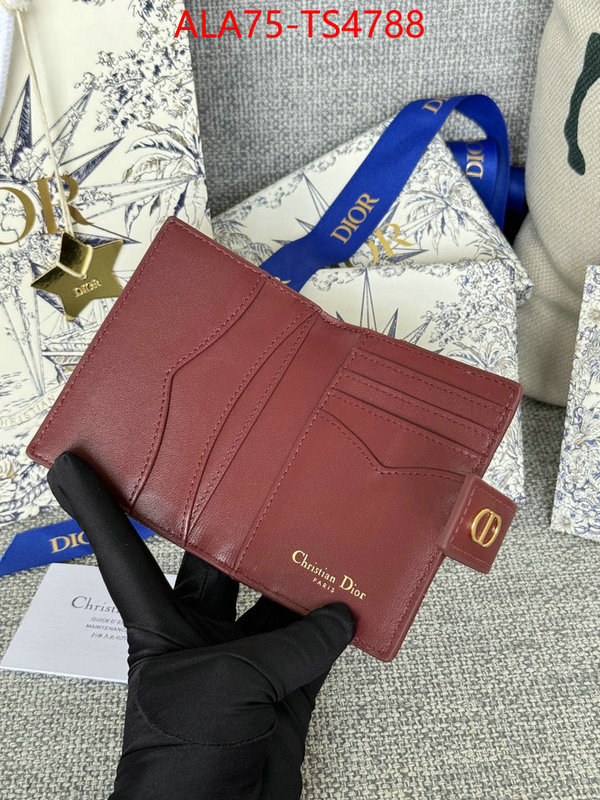 ID: TS4788 $: 75USD,