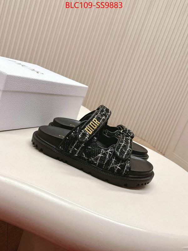 Women Shoes-Dior for sale online ID: SS9883 $: 109USD