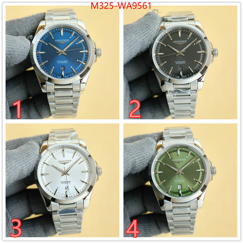 ID: WA9561