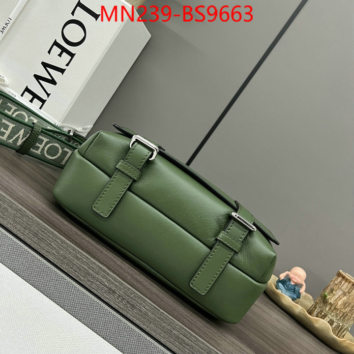 Loewe Bags(TOP)-Crossbody- luxury cheap ID: BS9663 $: 239USD,