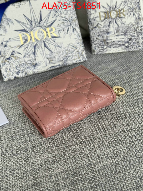 ID: TS4851 $: 75USD,