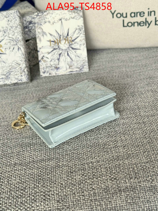 ID: TS4858 $: 95USD,