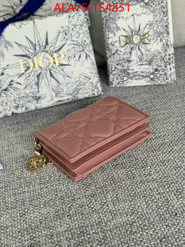 ID: TS4851 $: 75USD,