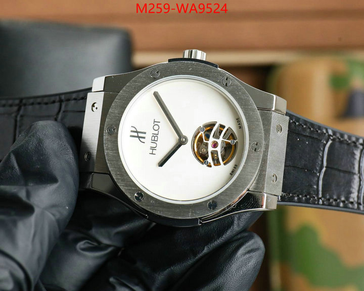 ID: WA9524