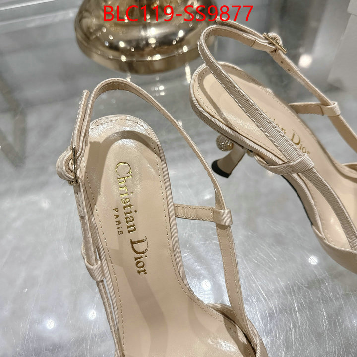 Women Shoes-Dior shop the best high authentic quality replica ID: SS9877 $: 119USD-shoes yupoo Women Shoes-Dior shop the best high authentic quality replica ID: SS9877 $: 119USD