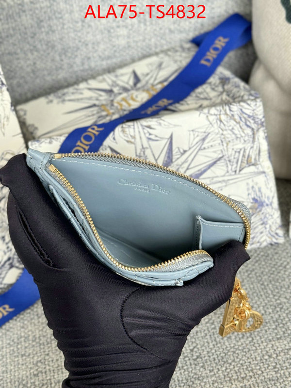 ID: TS4832 $: 75USD,