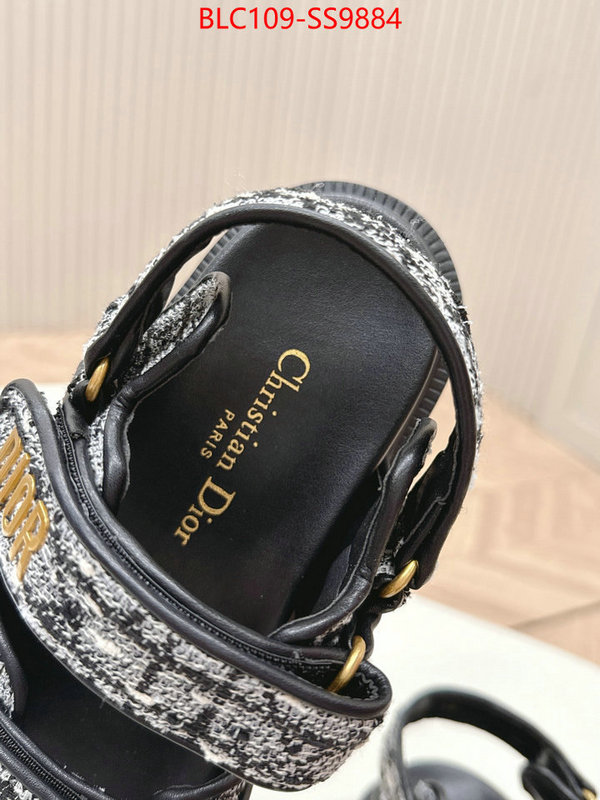 Women Shoes-Dior wholesale 2024 replica ID: SS9884 $: 109USD