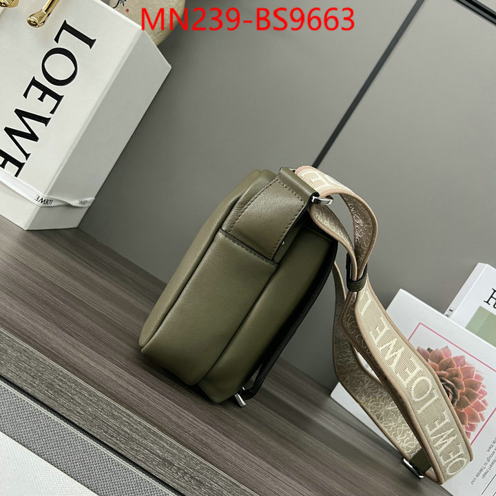 Loewe Bags(TOP)-Crossbody- luxury cheap ID: BS9663 $: 239USD,