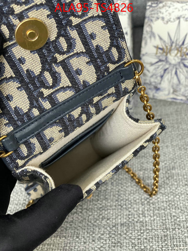 ID: TS4826 $: 95USD,