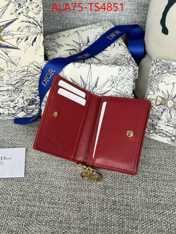 ID: TS4851 $: 75USD,