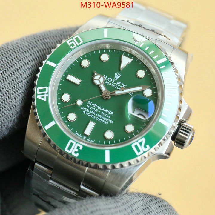 ID: WA9581