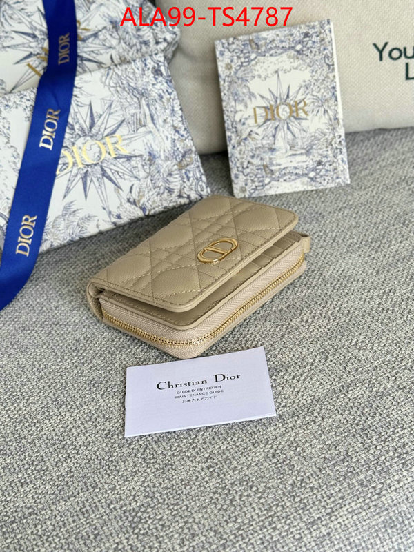 ID: TS4787 $: 99USD,