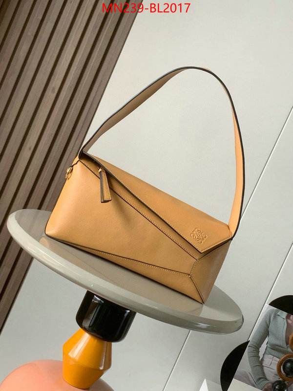 Loewe Bags(TOP)-Handbag- ID: BL2017 $: 239USD,
