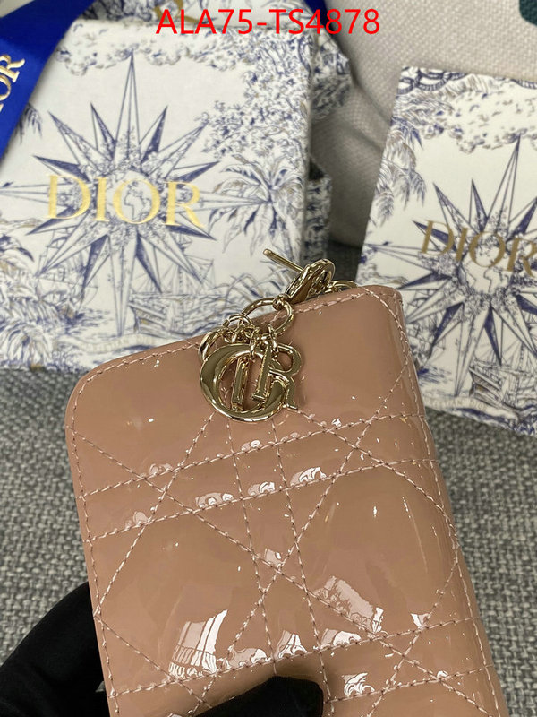 ID: TS4878 $: 75USD,