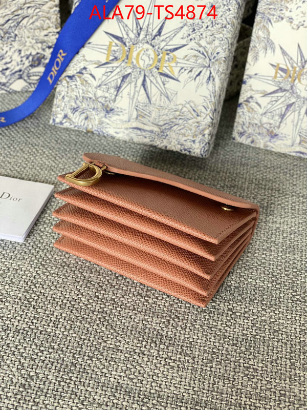 ID: TS4874 $: 79USD,