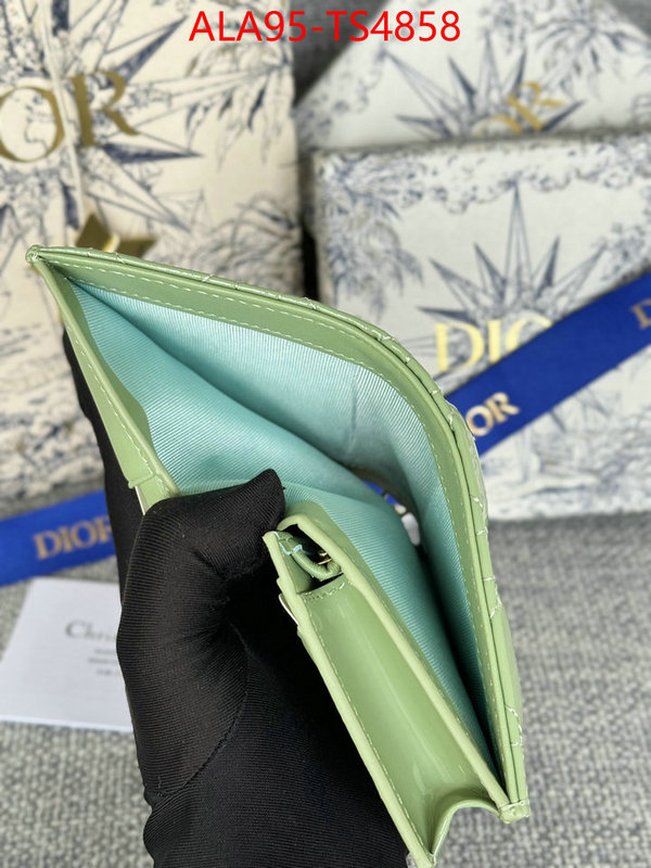ID: TS4858 $: 95USD,