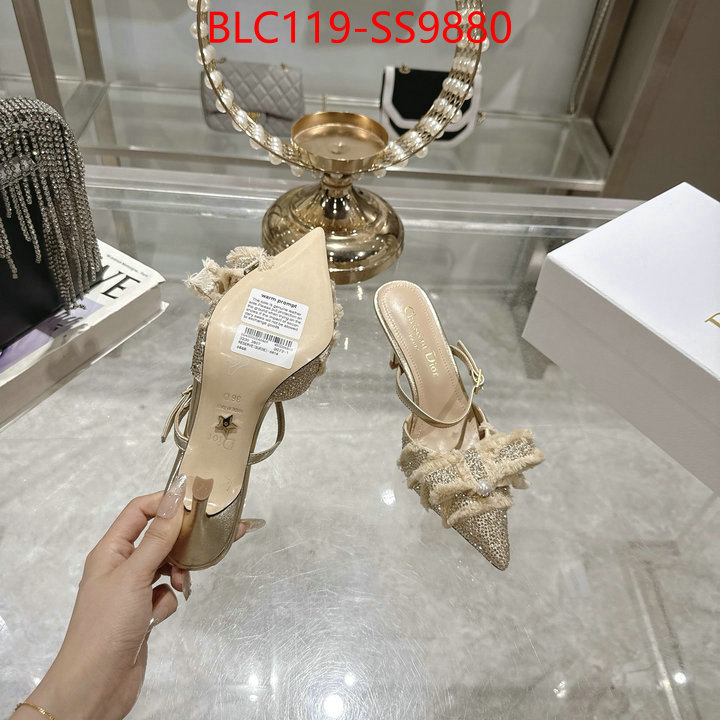 Women Shoes-Dior store ID: SS9880 $: 119USD